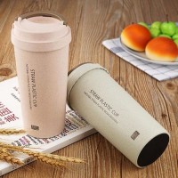 Brief double wall wheat straw degradable coffee water bottle with handle