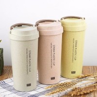 Custom logo popular double wall wheat straw degradable water bottle with handle