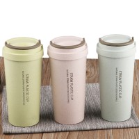 Environmentally friendly double wall wheat straw degradable lovers water bottle